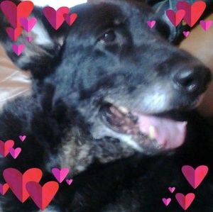 Meet your Posher, Donna